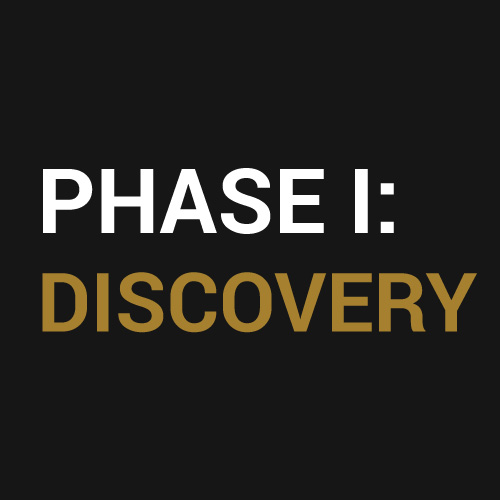 Phase 1: Discovery