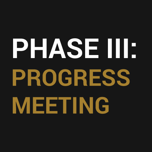 Phase 3: Progress Meeting